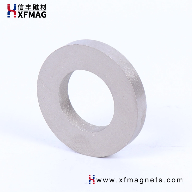 China Supplier Samarium Cobalt Magnetic Rare Earth SmCo Ring Customized Strong Magnet