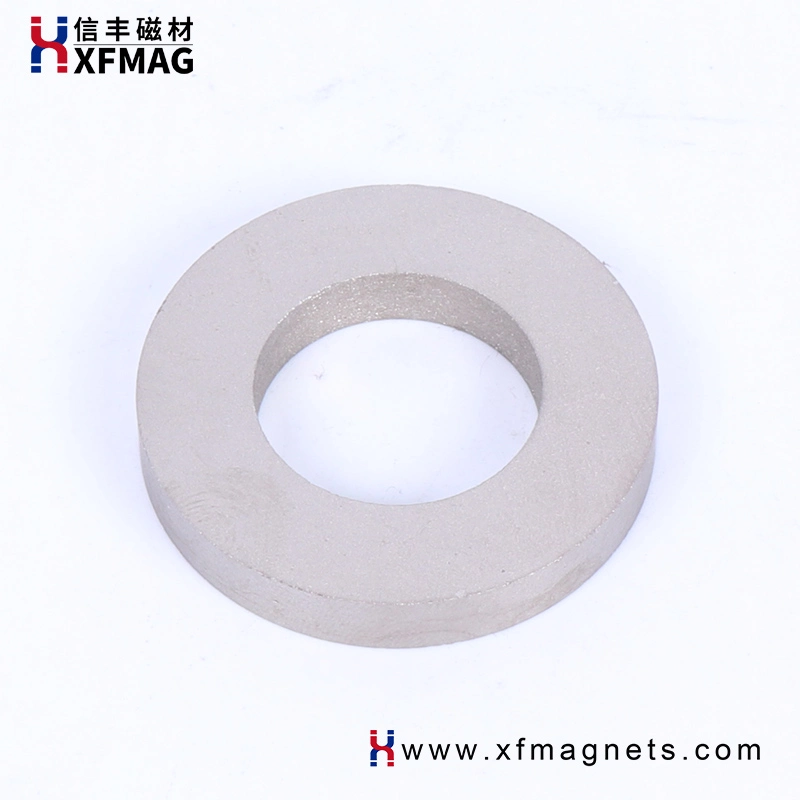 China Supplier Samarium Cobalt Magnetic Rare Earth SmCo Ring Customized Strong Magnet